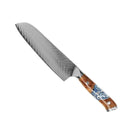Japanese Damascus Knife Set – 9-Piece Versatile Blade